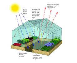 We did not find results for: How Does A Greenhouse Work