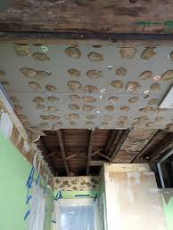 Check spelling or type a new query. Kitchen Progress Removing Drywall Plaster And Lath Ceilings And Fixing A Floating Bathtub And Then We Tried