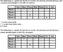 The establishment of your new. Lawn Maintenance Watering New Sod