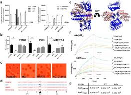 Take advantage of all the advantages of the currency exchange chart. A Point Mutation In Agrc Determines Cytotoxic Or Colonizing Properties Associated With Phenotypic Variants Of St22 Mrsa Strains Scientific Reports