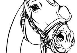Voeg de kleurplaat dan toe aan onze website. Kleurplaat Tekening Paardenhoofd