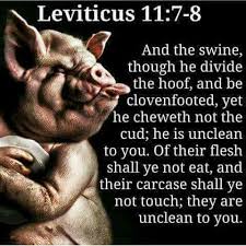 Pin By Adam Israel On Commandments Of The Bible Of Yhuh Bible Truth Bible Scriptures Bible Study