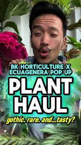 Reckless Plant Haul from Ecuagenera Pop-Up