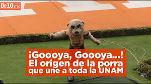 Cruz azul será la final del guard1anes 2020 de acuerdo a las probabilidades del soccer power index, quien pone a los esmeraldas y celestes como los favoritos para ganar sus llaves de semifinales ante chivas y pumas, respectivamente, mientras que el conjunto de guanajuato es el. La Alineacion Que Gano El Ultimo Campeonato Del Cruz Azul En 1997