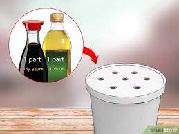The easiest way to get rid of earwigs is to place a shallow container like a tuna can or a cream cheese container in your garden interesting facts about earwigs. How To Get Rid Of Earwigs 12 Steps With Pictures Wikihow