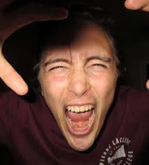 Brain Stew, 2024-25, Issue 5 by Pierre Laclede Honors College