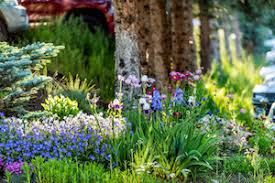 This is more likely if you live near an industrial or agricultural area. Mu Extension Horticulturist Provides Tips For Ensuring A Well Watered Garden John Deere Machinefinder