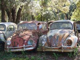 Save These Bugs Dade City Florida Hemmings Daily Volkswagen New Beetle Vintage Vw Junkyard Cars