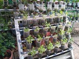 Bibit unggul yang anda beli untuk tomat akan lebih menguntungkan pada hasil panen nantinya. Hidroponik Jadi Solusi Bercocok Tanam Di Lahan Terbatas Lifestyle Liputan6 Com