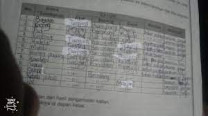 Akar adventitius tumbuh daripada hipokotil. Apa Jenis Akar Batang Daun Dari Tumbuhan Bayam Kacang Padi Kentang Kedelai Melati Kacang Brainly Co Id