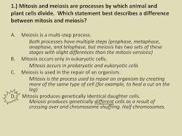 Biology practice test cell cycle practice test cell cycle questions practice test on meiosis practice. Cell Growth And Genetics Ppt Download