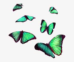 Free Free 294 Realistic Flying Butterfly Svg SVG PNG EPS DXF File