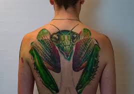 A praying mantis is an amazing insect that can be kept as a pet. 50 Praying Mantis Tattoo Designs For Men Insect Ink Ideas
