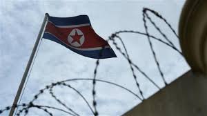 We did not find results for: Ini Alasan Konyol Korea Utara Tak Punya Kedutaan Di Australia Global Liputan6 Com