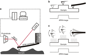 Phototransistors are similar to photodiodes, but exploit internal amplification of the photocurrent. Atomic Force Microscopy Afm For Topography And Recognition Imaging At Single Molecule Level Springerlink