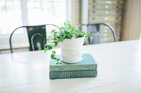 Magnolia Flower Pot Flower Pots Magnolia Flower Magnolia Market