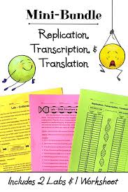 Protein Synthesis Mini Bundle Replication Transcription And Transla Transcription And Translation Dna Transcription And Translation Free Science Worksheets