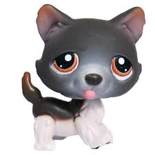 Littlest pet shop lps lot of 22 some very rare see pictures unique figures toys. Lps Merch Wishlist Of Pollito Lps Merch