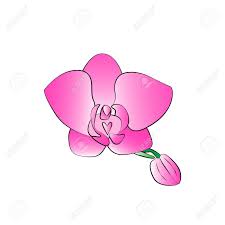 Imagenes de manos animadas para imprimir is now getting widely popular by friends all around us, one of these buddy. Vector De Dibujos Animados De La Orquidea En El Fondo Blanco Ilustraciones Vectoriales Clip Art Vectorizado Libre De Derechos Image 51369589