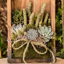 When these cactus plants mature, they produce attractive red, orange or yellow flowers that can become edible prickly pear fruits on larger plants. Amazon Com Altman Plants Assorted Live Cactus Collection Mini Real Cacti For Planters Or Gifts 2 5 Inch 12 Pack Garden Outdoor