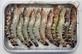 Prawn Nutrition - Tassal Foodservice