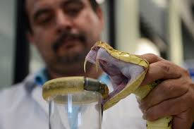 Noticias Equidad e Igualdad de Género