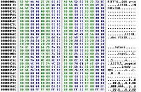 Image result for what is coreldraw