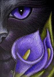 Black Cat Violet Lily Flowers Black Cat Art Cat Painting Animal Art