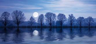 Beschreibung / 09.11.2016 / info kanal über meine themen und produkte. Avalon Special Online Mit Christine Arana Fader Spiritlive Magazin