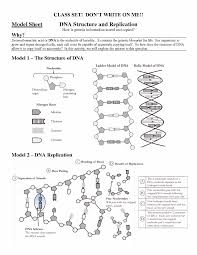 The end result is at the time of evaluation, there's a great deal of confusion. Transcription And Translation Coloring Worksheet Answer Key