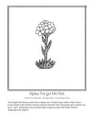Affordable and search from millions of royalty free images, photos and vectors. Celebrating Wildflowers Coloring Page