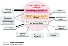 Become a member for perks! Cardiac Tissue Engineering Renewing The Arsenal For The Battle Against Heart Disease Integrative Biology Rsc Publishing