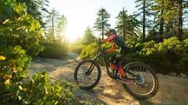 Snow Valley MTB Camp