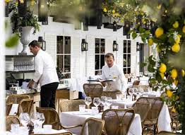 They are wispier and taller than the succulents. Alto At Selfridge Roof Terrace Rooftop Bar In London The Rooftop Guide