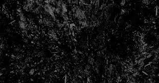 Hitam Putih Background Abstrak Putih Wallpaper Hutan Satu Warna Latar Belakang Hitam Black Hd Wallpaper Black Abstract Background Black And White Wallpaper