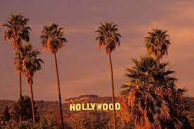 City of hollywood utility billing, p.o. Hollywood Promi Hauser Tour 2021 Los Angeles Tiefpreisgarantie