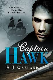 Captain Hawk (Hawk's Legacy #1) by S.J. Garland
