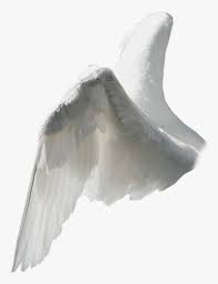 side view angel wing png png download angel wings from the side transparent png kindpng side view angel wing png png download