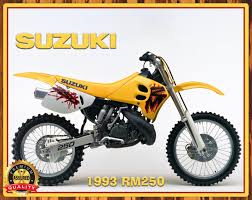 Image result for Gris Amatista 1993 Motorcycle