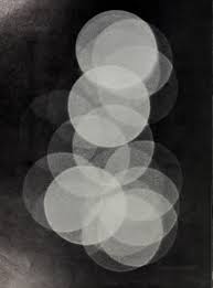 The Redwood, v.71 1974-1975