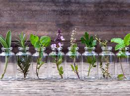 Check spelling or type a new query. 6 Essential Oils For Beginners How To Get Started Chicken Scratch Diaries