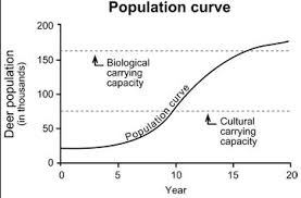 Carrying Capacity Wikipedia The Free Encyclopedia Life Science Classroom Secondary Science 6th Grade Science