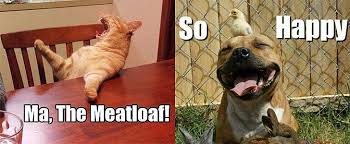 Looking for games to play during your virtual game night? Animal Memes Good Job 10lilian