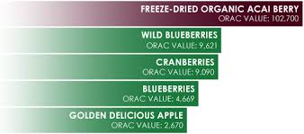 The Nutritional Makeup Of Acai Best Organic Acai