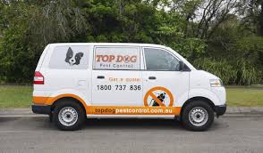 The first time, it's a deep clean. Rodent Control On The Gold Coast Pest Control