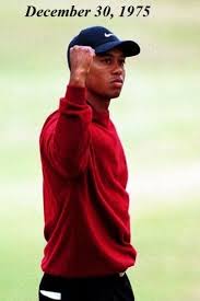 Eldrick Tont Tiger Wood Tiger Woods Woods Golf Golf Tips For Beginners