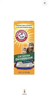 7 Easy Steps To An Odor-Free Home With Cats