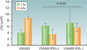 We would like to show you a description here but the site won't allow us. Methicillin Resistant Staphylococcus Aureus Molecular Characterization Evolution And Epidemiology Clinical Microbiology Reviews