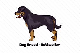 Download Dog Breed Rottweiler Svg Cut Files Download Free Svg Files Mandala Yellowimages Mockups