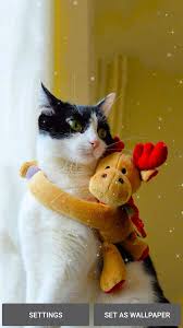 Maybe you would like to learn more about one of these? Christmas Cat Wallpaper Apk 1 2 Download For Android Download Christmas Cat Wallpaper Apk Latest Version Apkfab Com